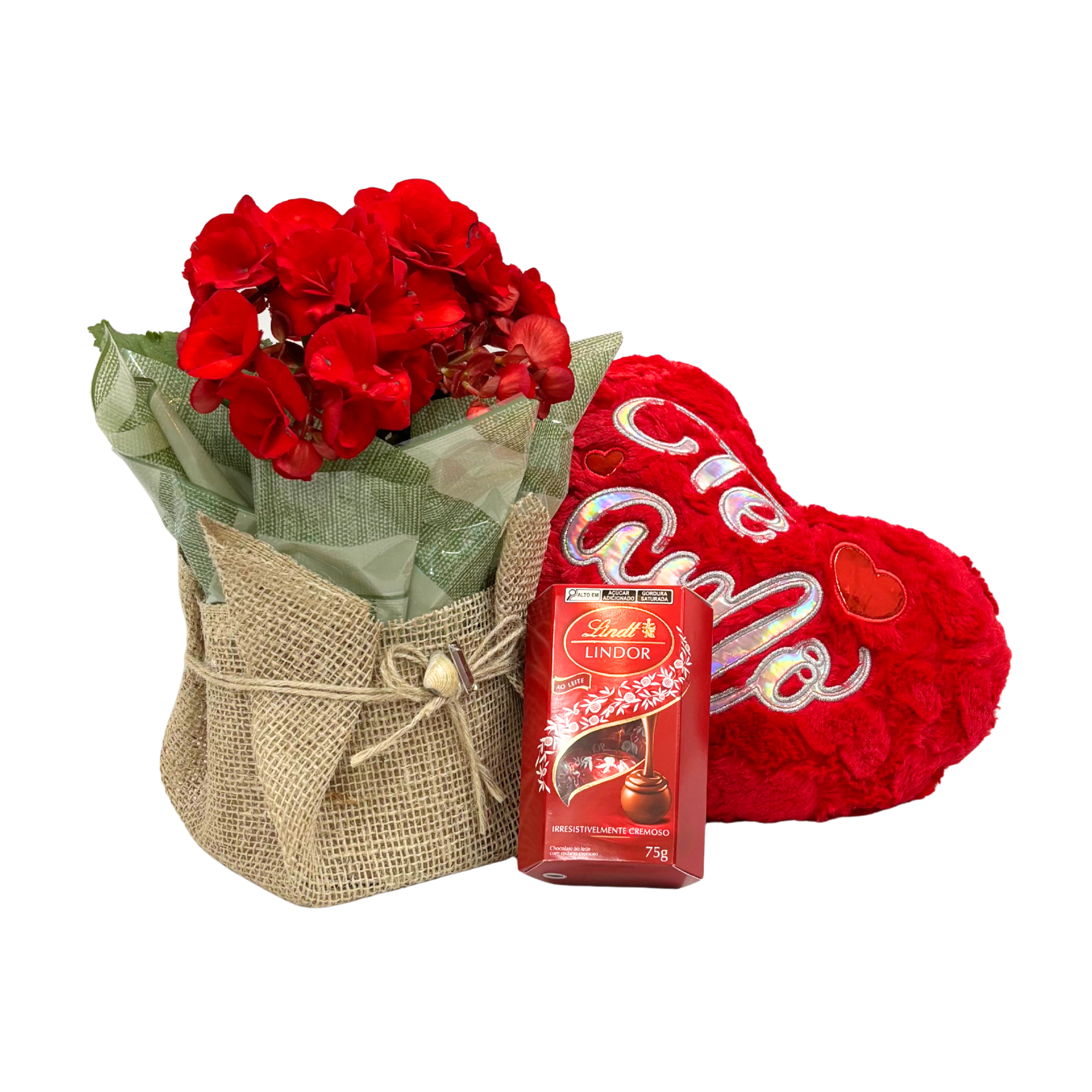 Kit Begnia & Lindt