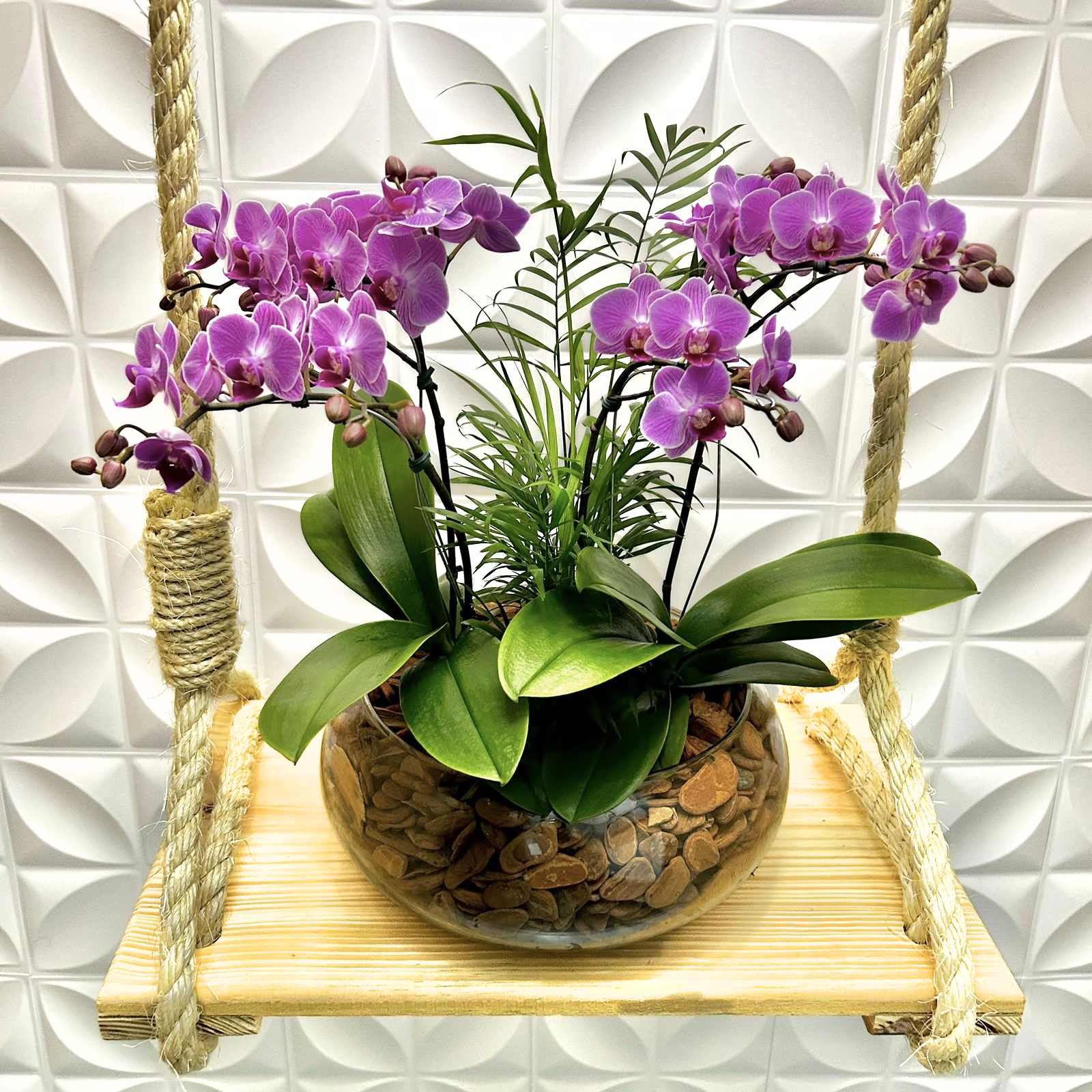Especial de Mini Orqudea Lils no Vidro