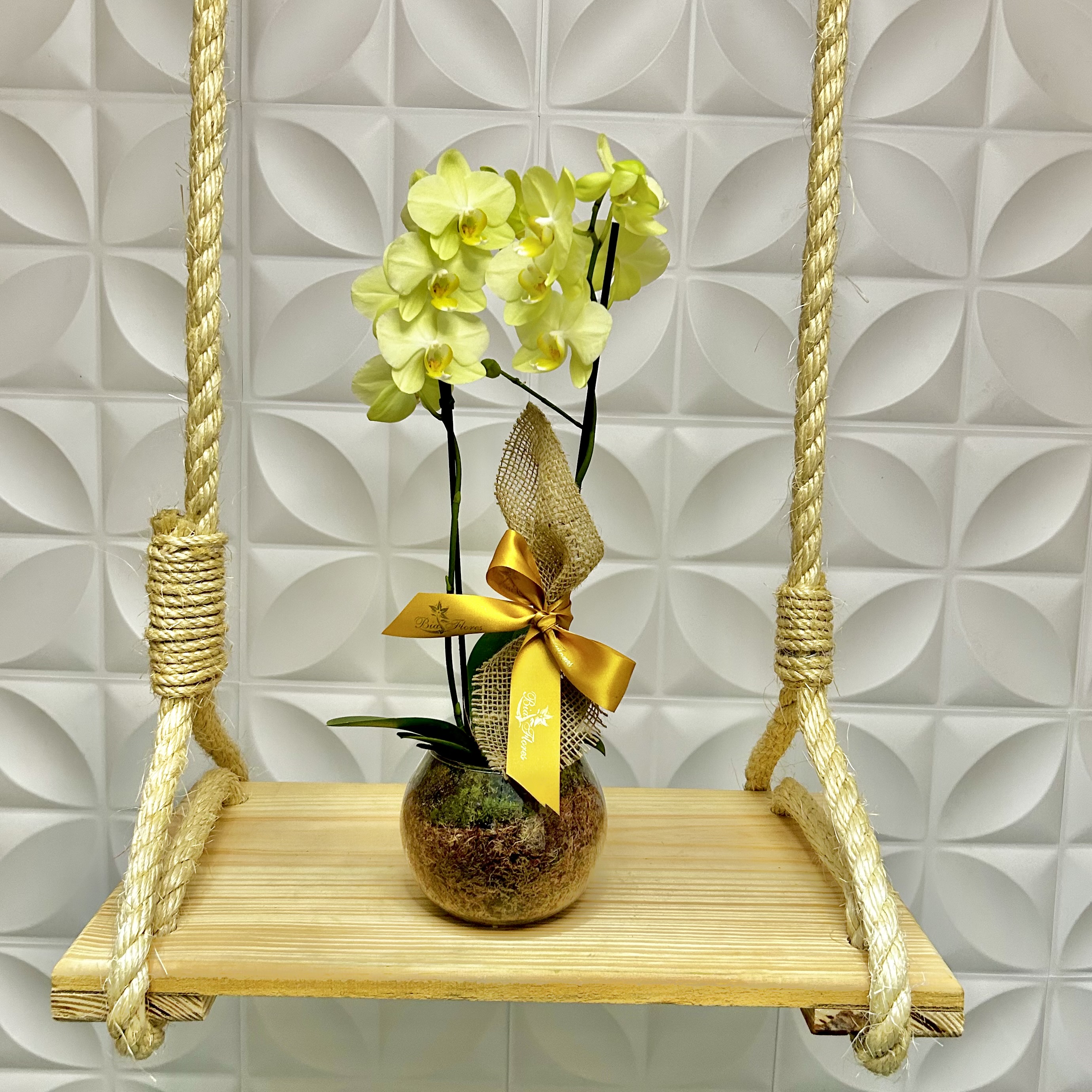 Mini Orqudea no Vidro - Cores Sortidas